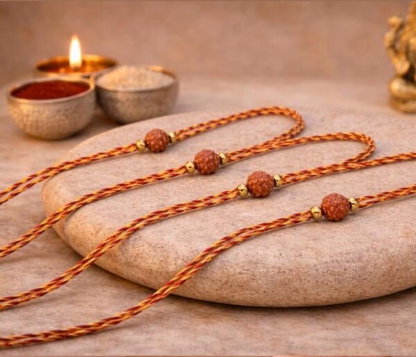 Divine Shiva Blessing Rudraksha Rakhi Combo PACK OF 6 - RL14
