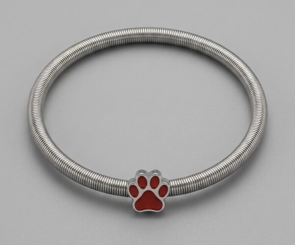 Adjustable Pet Rakhi